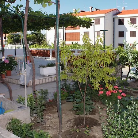 Гостевой дом Double 5061a Palit